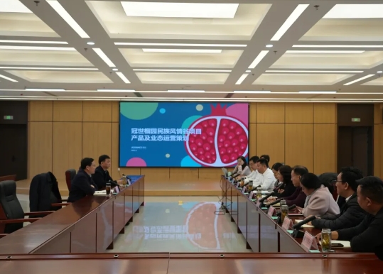 市政府副市长刘吉忠到集团调研帮包的重点项目并现场办公 