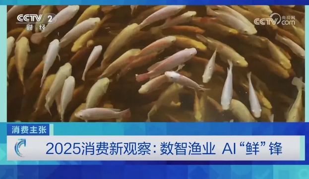 集团智慧渔业项目获央视《消费主张》栏目专题报道 